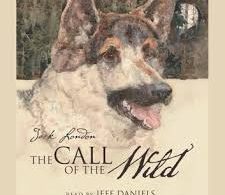 The Call of the wild Audiobook